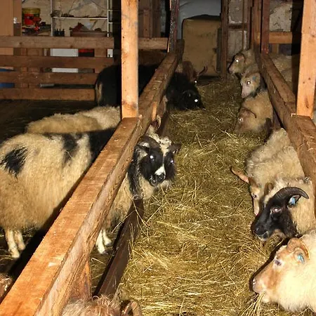 Ferienwohnung Skjólsteinar Grundarfjörður Exterior foto