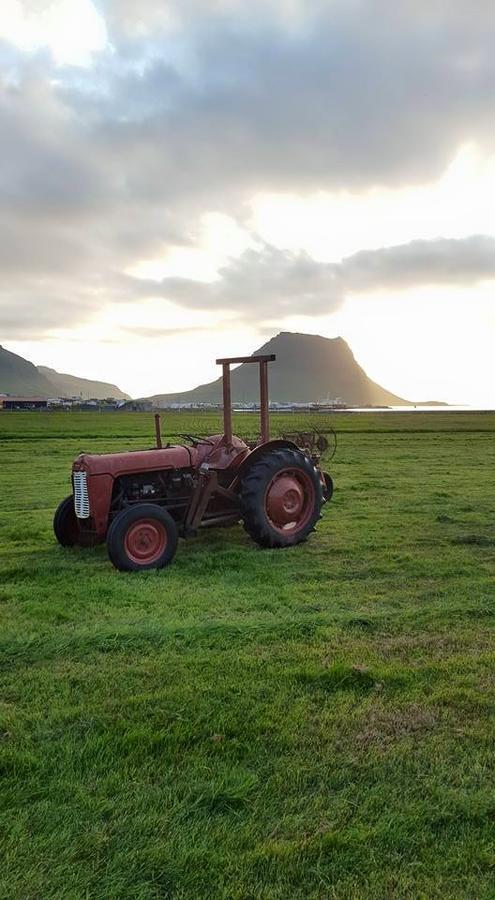 Skjolsteinar Homestay
