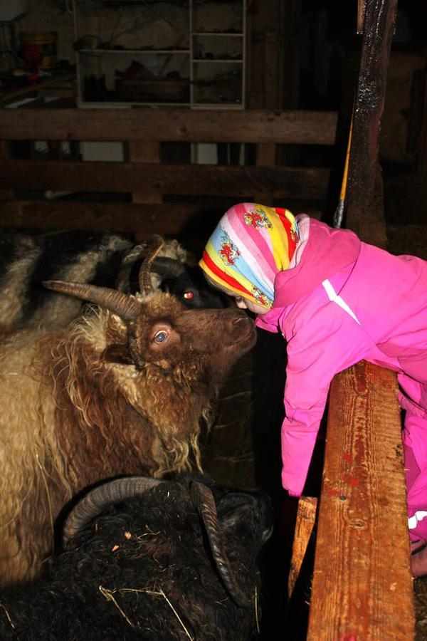 Skjólsteinar Grundarfjörður